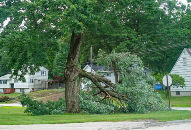 Best Hazardous Tree Removal  in Arden On The Severn, MD